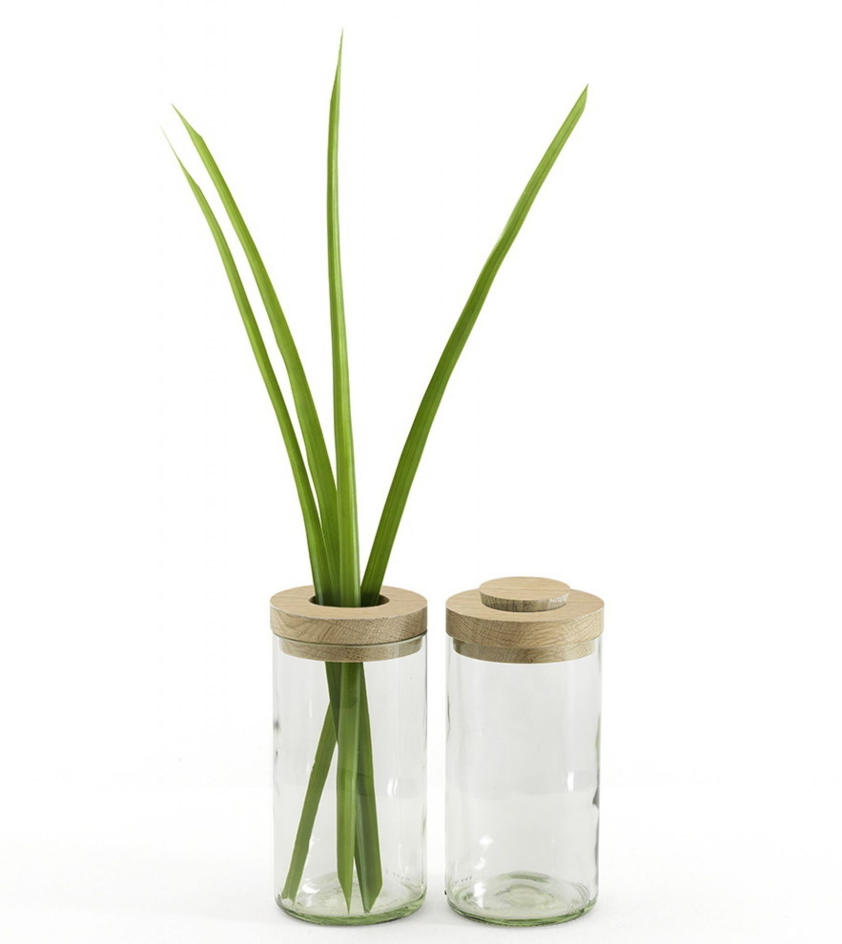 Vase &amp; Box Side by Side clear SINGLE PIECES